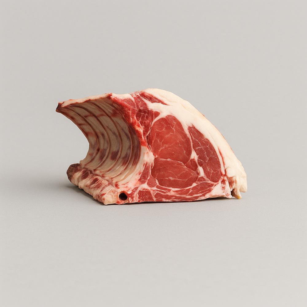 Train de Côte de Bœuf 5++