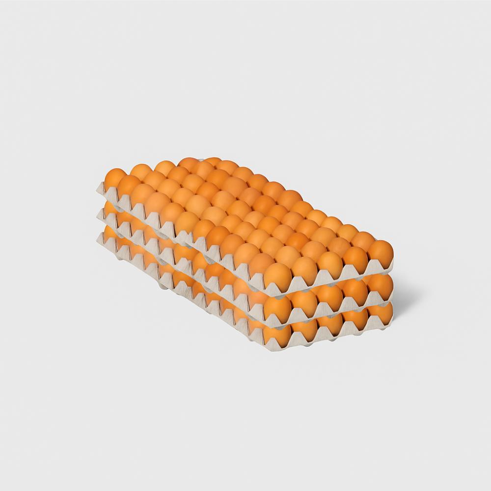 Oeuf  moyens x180