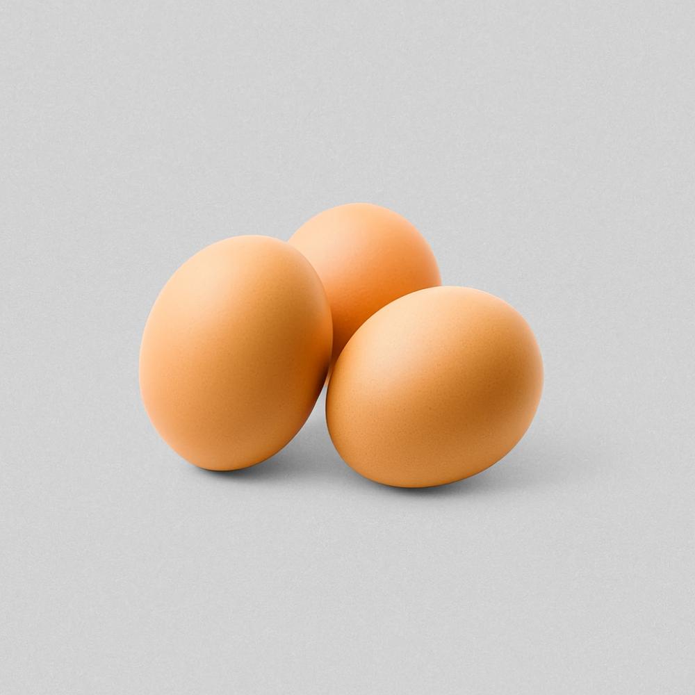 Oeuf gros x90