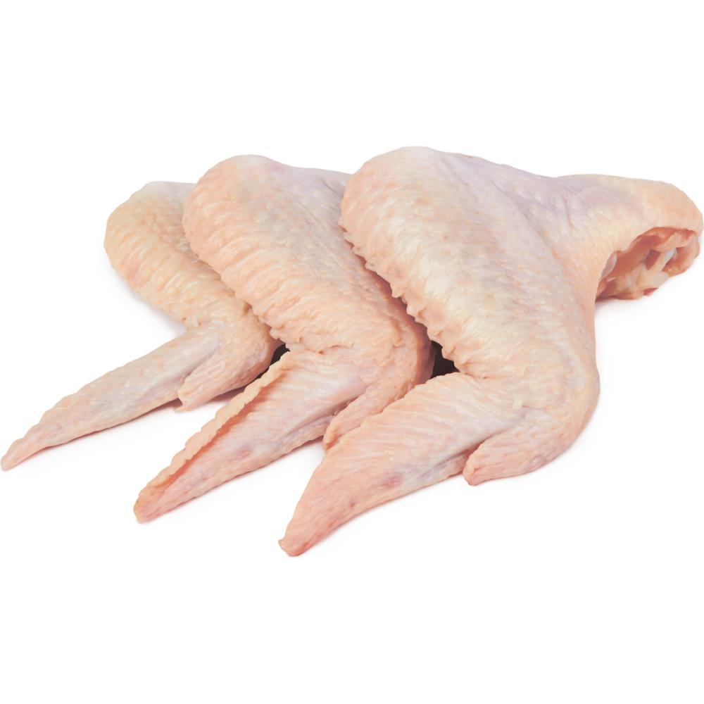 Aile de Poulet